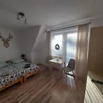 Проживание в семье Goscinne Kurosik *