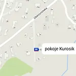 Goscinne Kurosik Проживание в семье Закопане