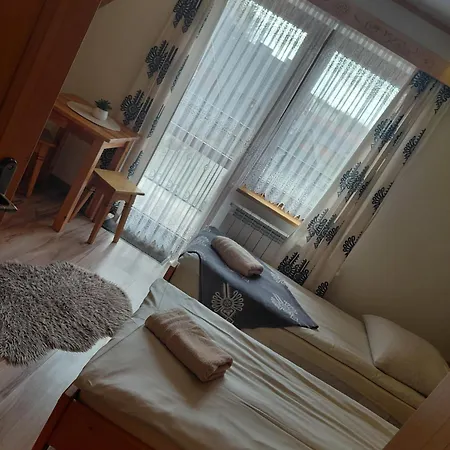 Goscinne Kurosik Проживание в семье